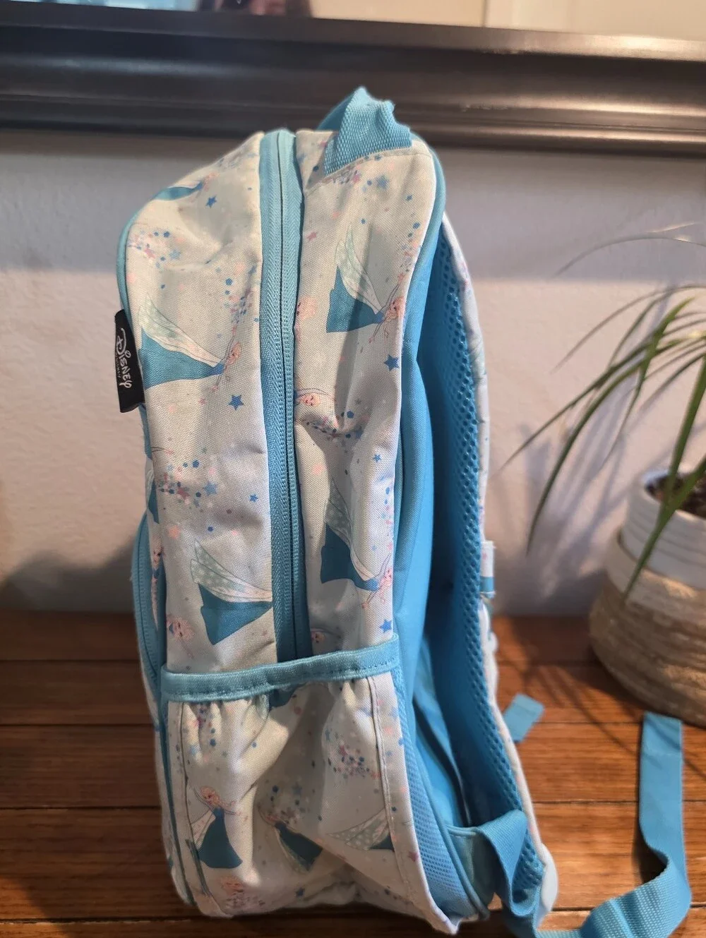 Simple Modern × Disney Frozen Character Print Backpack (14